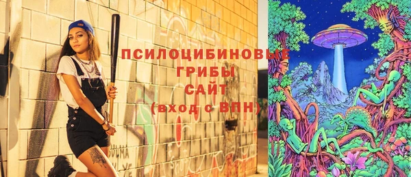 прущие крисы Бронницы