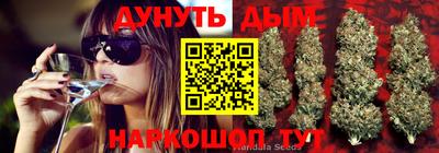 прущая мука Шебекино