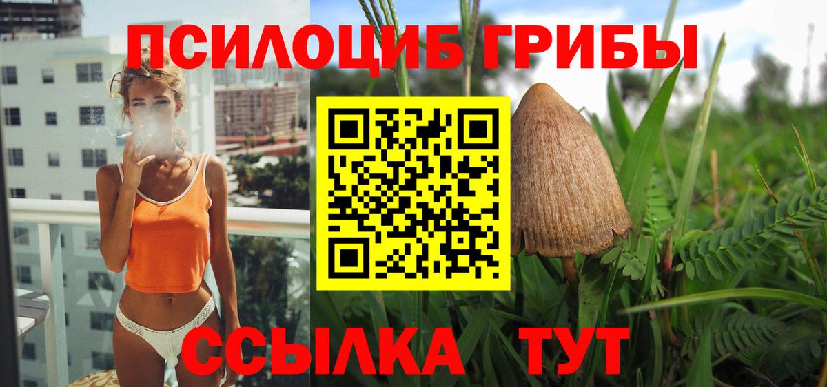 Мончегорск  Псилоцибиновые грибы Psilocybe  Вход с VPN 